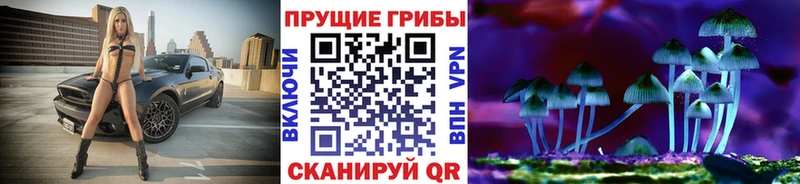 Псилоцибиновые грибы GOLDEN TEACHER  где найти наркотики  МЕГА ссылка  Дубна 